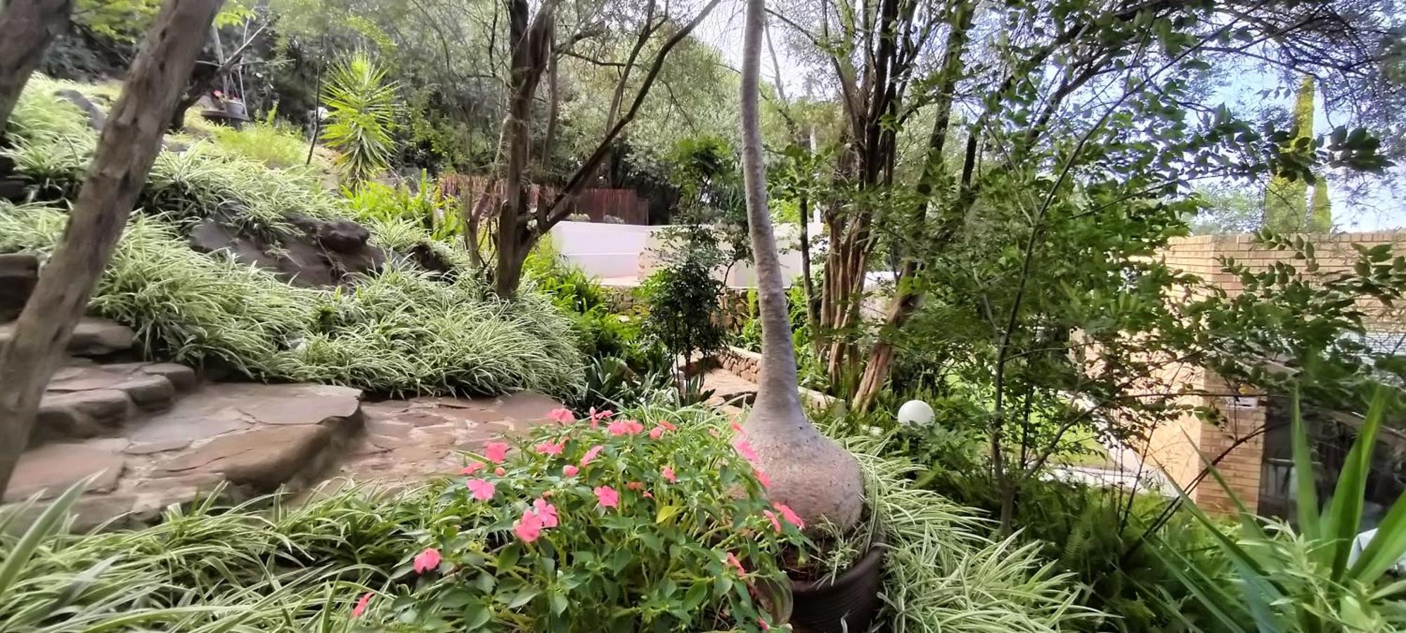 Bed and Breakfast Mountain Gem Bloemfontein Exterior foto